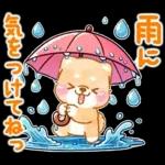 雨、梅雨、夏に使う❤️いやしばいぬ❤️柴犬