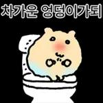 쟈근 햄스타의 겨울나기