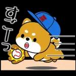 飛び出す！豆柴「野球と日常」