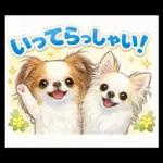 ブラン&プティ第2弾♡