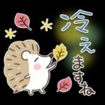 大人の気遣い19♡カラフル秋冬