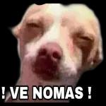 ¡GRACIAS! ¡Estamos Agradecidos!