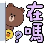 0113-tw-小动物