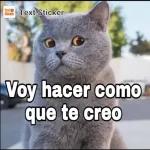 Buenas noches