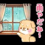 雨、梅雨、夏に使う❤️いやしばいぬ❤️柴犬