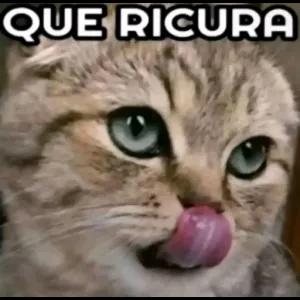 QUE RICURA - getsticker.com