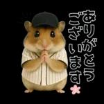 【新】リアル野球ハムスター