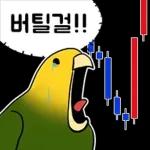 투자 전문가, 껄무새