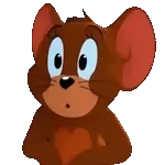 luzma 