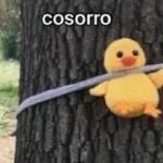 Este usuario está enfermo