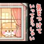 雨、梅雨、夏に使う❤️いやしばいぬ❤️柴犬