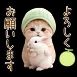 ずっと使える メロン帽が可愛い 猫とウサギ