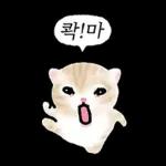 작아요 고먕이