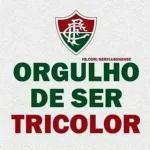 Fluminense sticker