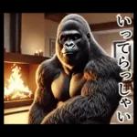 【冬】イケメンゴリラ