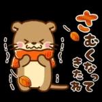 コツメカワウソ♡毎日つかえる秋