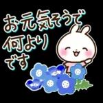 うさぎさん 春・梅雨・初夏