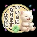 にゃんこ達の❤️気持ちたっぷり長文❤ねこ