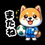 サッカー大好きな柴犬