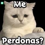 Me Perdonas?