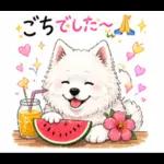 夏ギャルなサモエドスタンプ