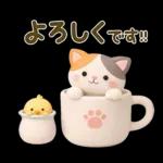 【3D】大人かわいい♪猫にゃんこ♥️敬語