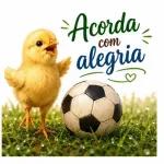 Bom Dia, Vida Linda 🌻✨