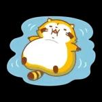 まんまるラスカル☆ヘルシーになろう