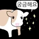 호기심 많은 소