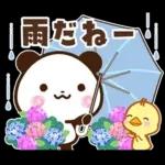 パンダ＆ひよこ 梅雨・夏