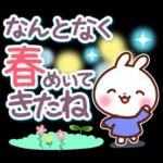うさぎさん やさしい春の気づかい