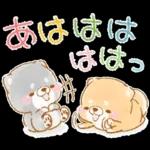 初夏❤️いやしばいぬ❤️16/柴犬