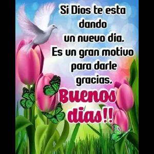 Si Dios te esta dando un nuevo dia. Es un gran motivo para darle gracias. Buenos dias!! - getsticker.com