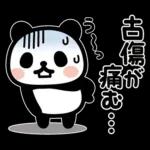 ぶなんなパンダ／お天気