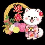 サモエドのお正月シリーズ