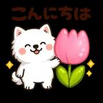 かわいいサモエド・元気いっぱいの春