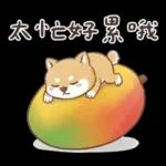 柴犬可愛諧音梗