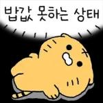 밥에 진심인 민족