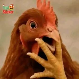 Text Sticker - getsticker.com