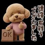 一年中使えることば集☆トイプードル