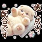 冬の猫のスコティッシュ【よく使う言葉】