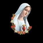 Que la Virgen te acompañe