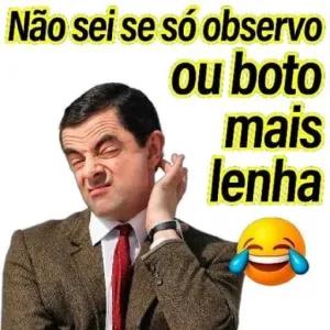 Não sei se só observo ou boto mais lenha - getsticker.com