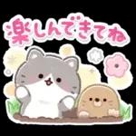 ふんわりにゃんこの春