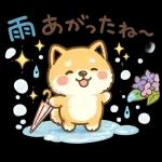 スタンプ・しば犬の梅雨だより