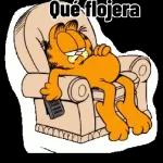 jjjjjj