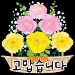 오늘은 꽃 주는 날 2