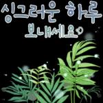 싱그러운 하루 메세지