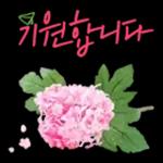 꽃으로 전하는 마음, 감사톡