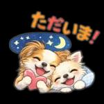 ブラン&プティ第2弾♡